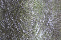 Strouden fibreglass roof work